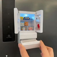 Fridge Fridge - The Fridgeception